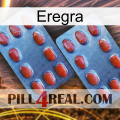 Eregra 05